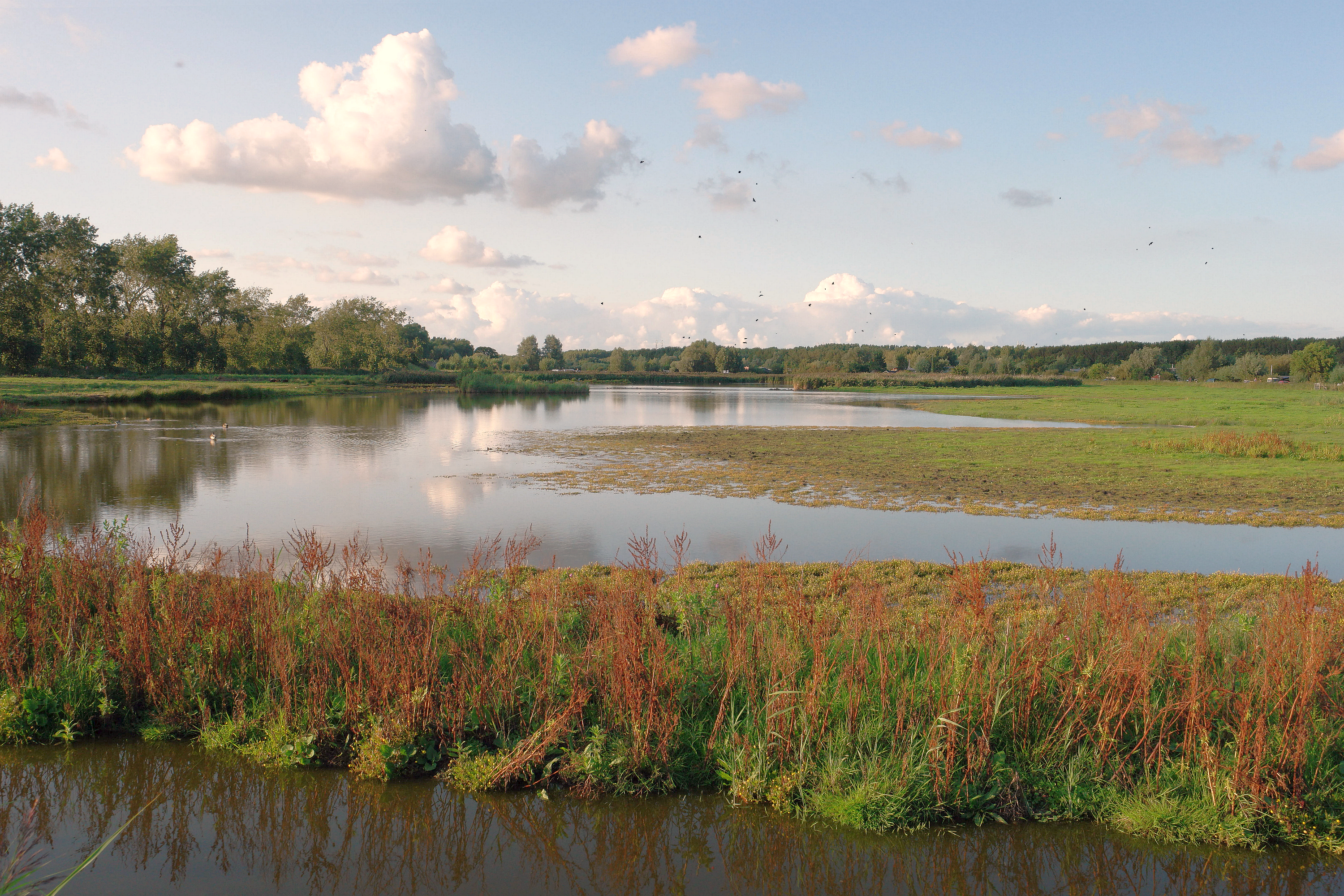 Landscape with lake